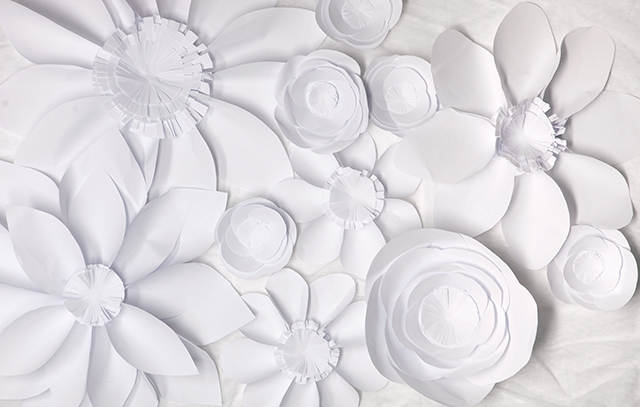 Pattern Paper (Flowers / White) - Pattern Papers - Home and Living