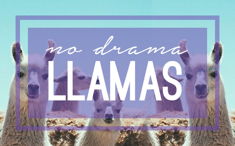 No Drama Llamas.